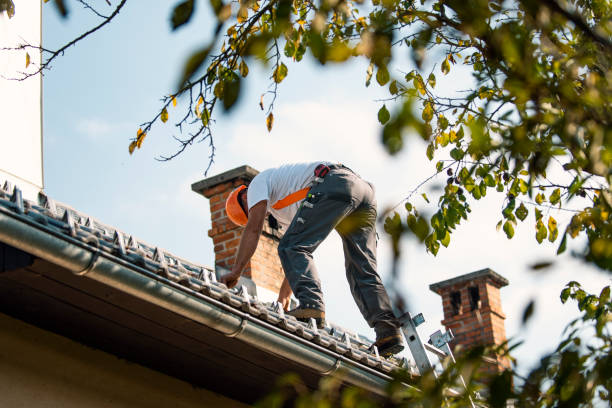 Best Shingle Roofing Installation  in Cullowhee, NC