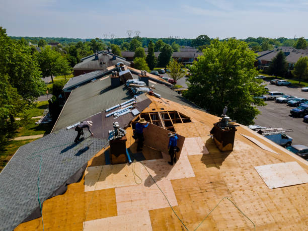 Best Storm Damage Roof Repair  in Cullowhee, NC
