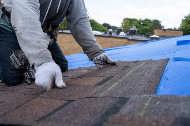 Roof Waterproofing Services in Cullowhee, NC
