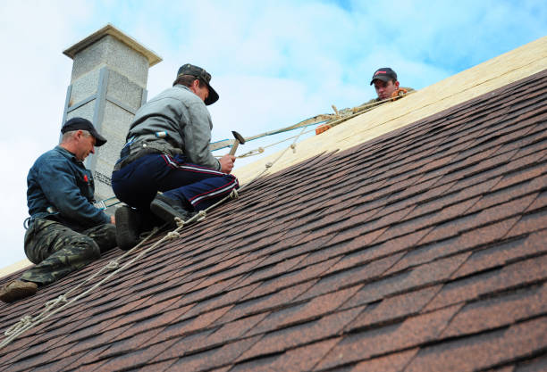 Best Shingle Roofing Installation  in Cullowhee, NC